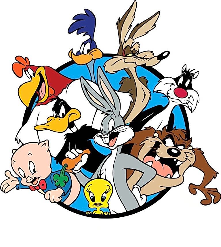 WhatsApp Image 2026-01-28 at 18.24