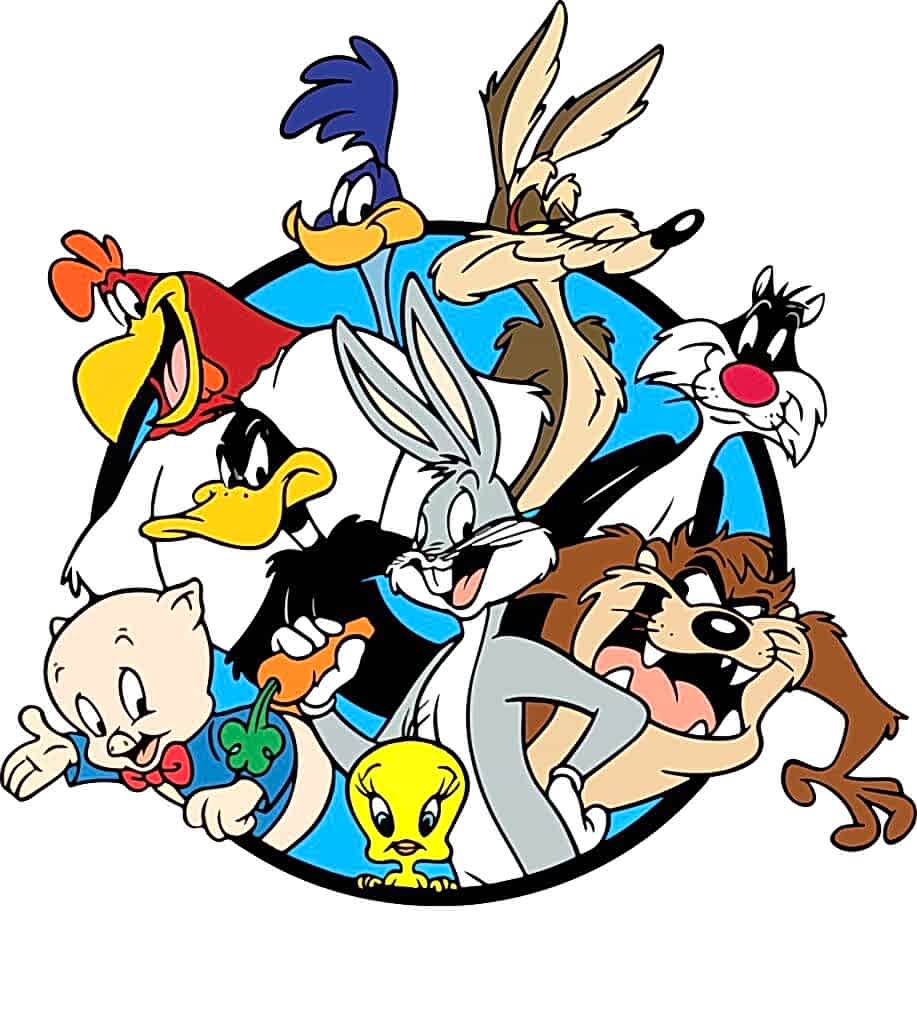 WhatsApp Image 2026-01-28 at 18.24